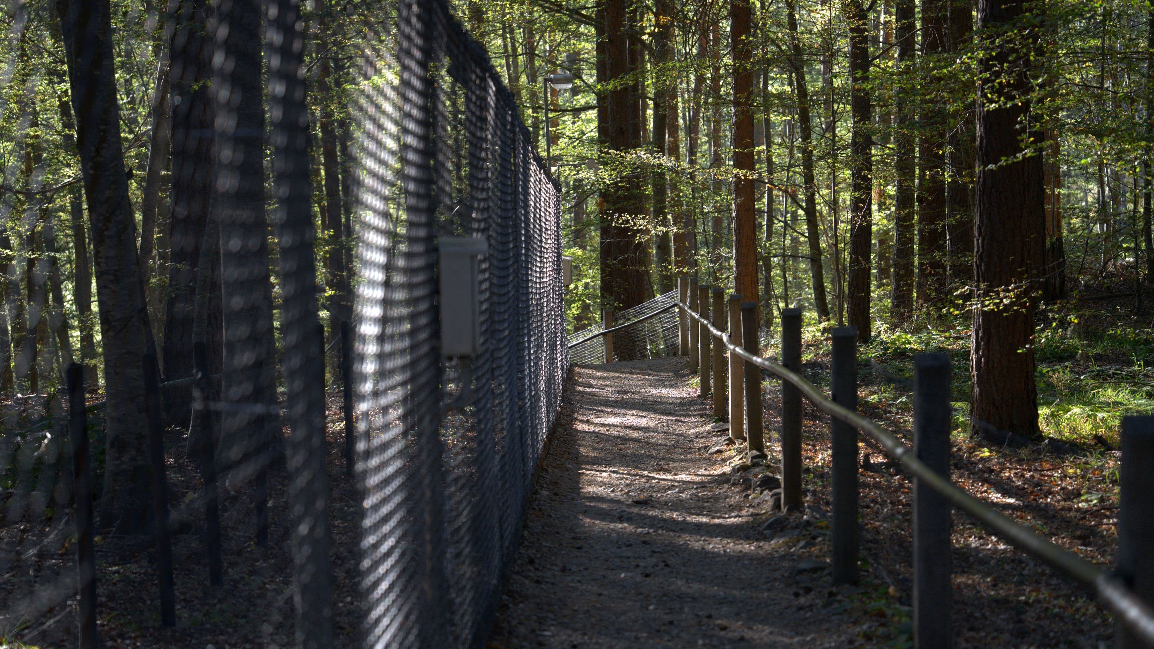 Bear sanctuary fence