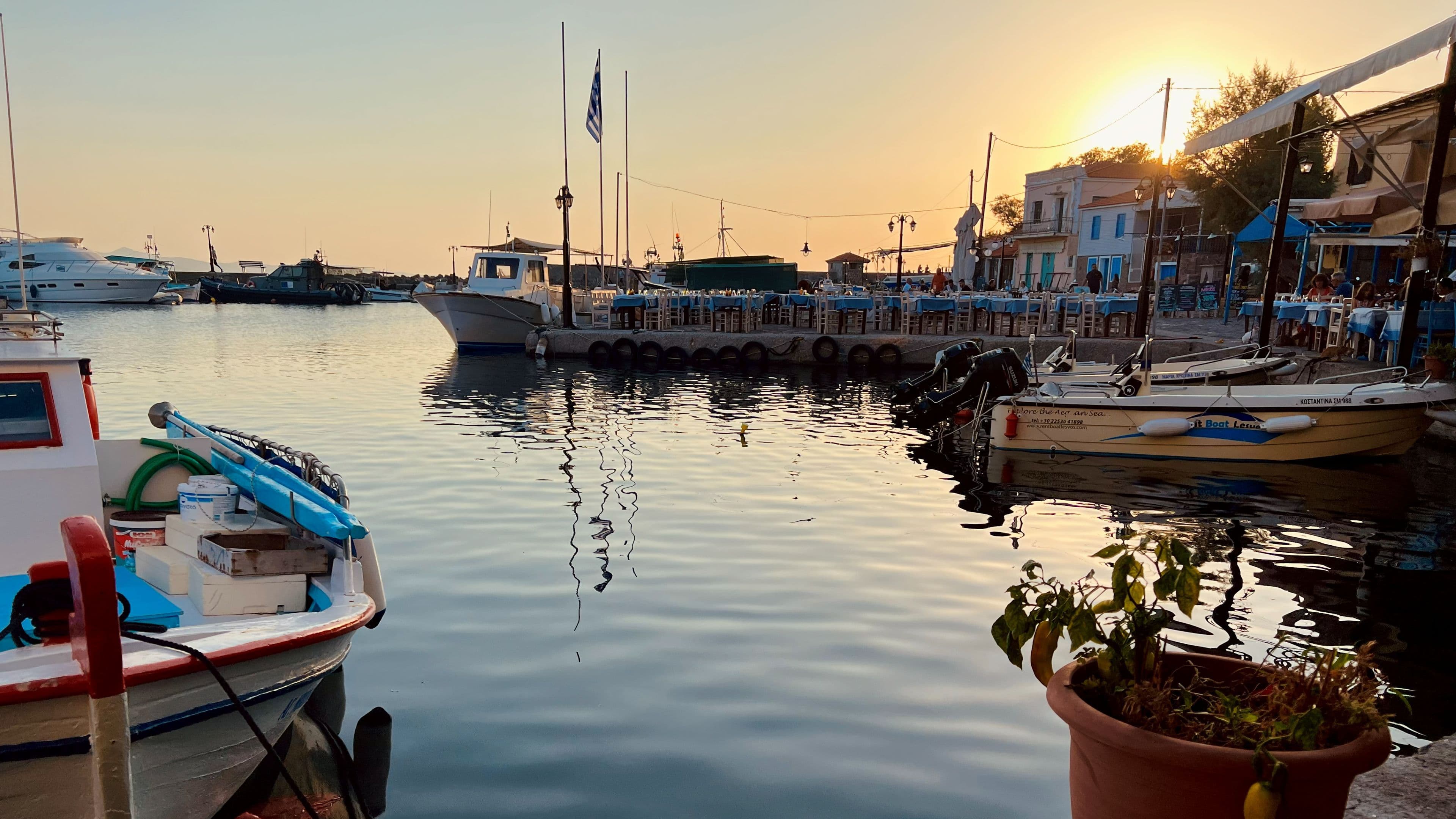 Marina at the end of the day
