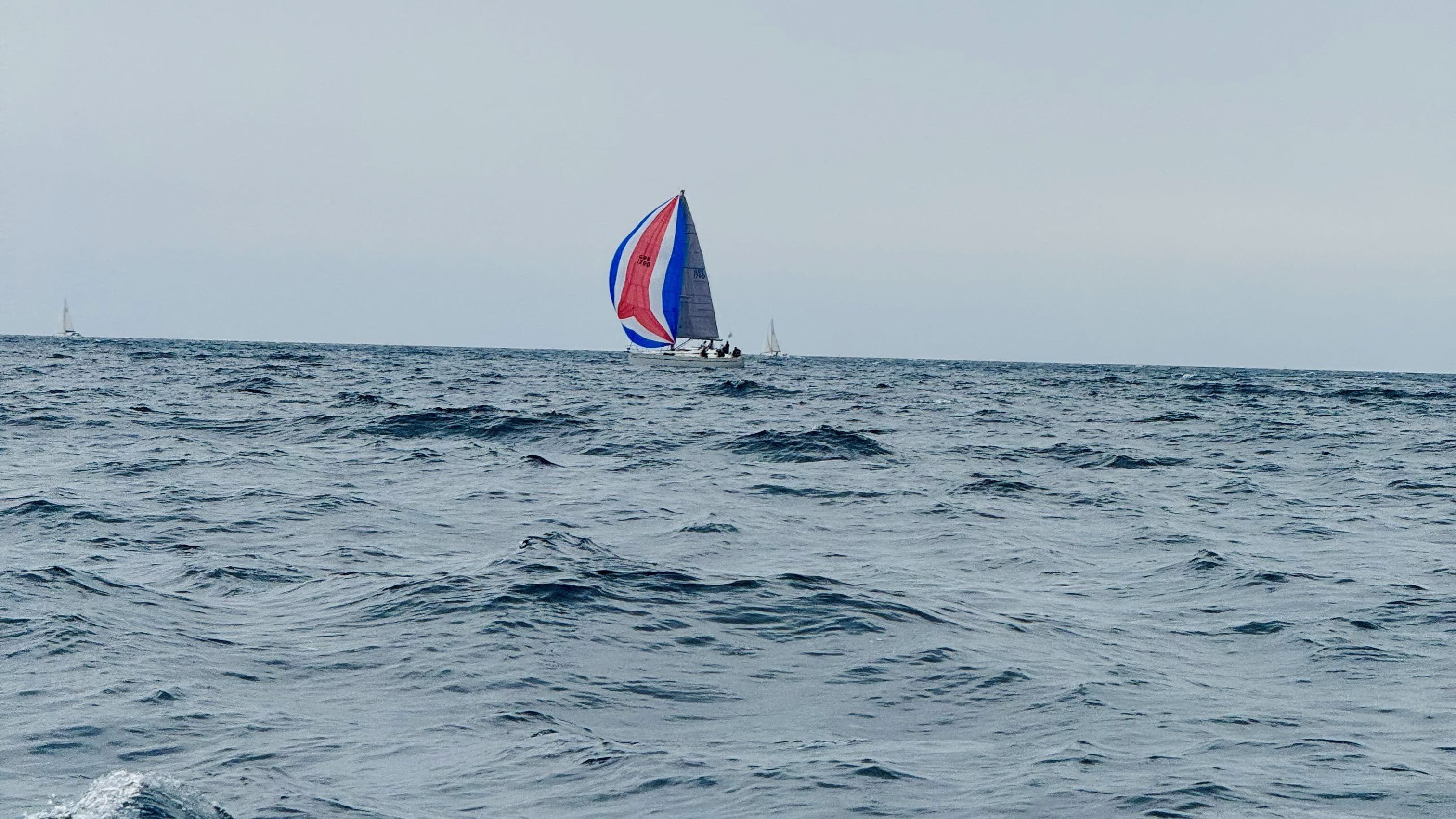 Racing downwind - 52nd Revolutionary Regatta race